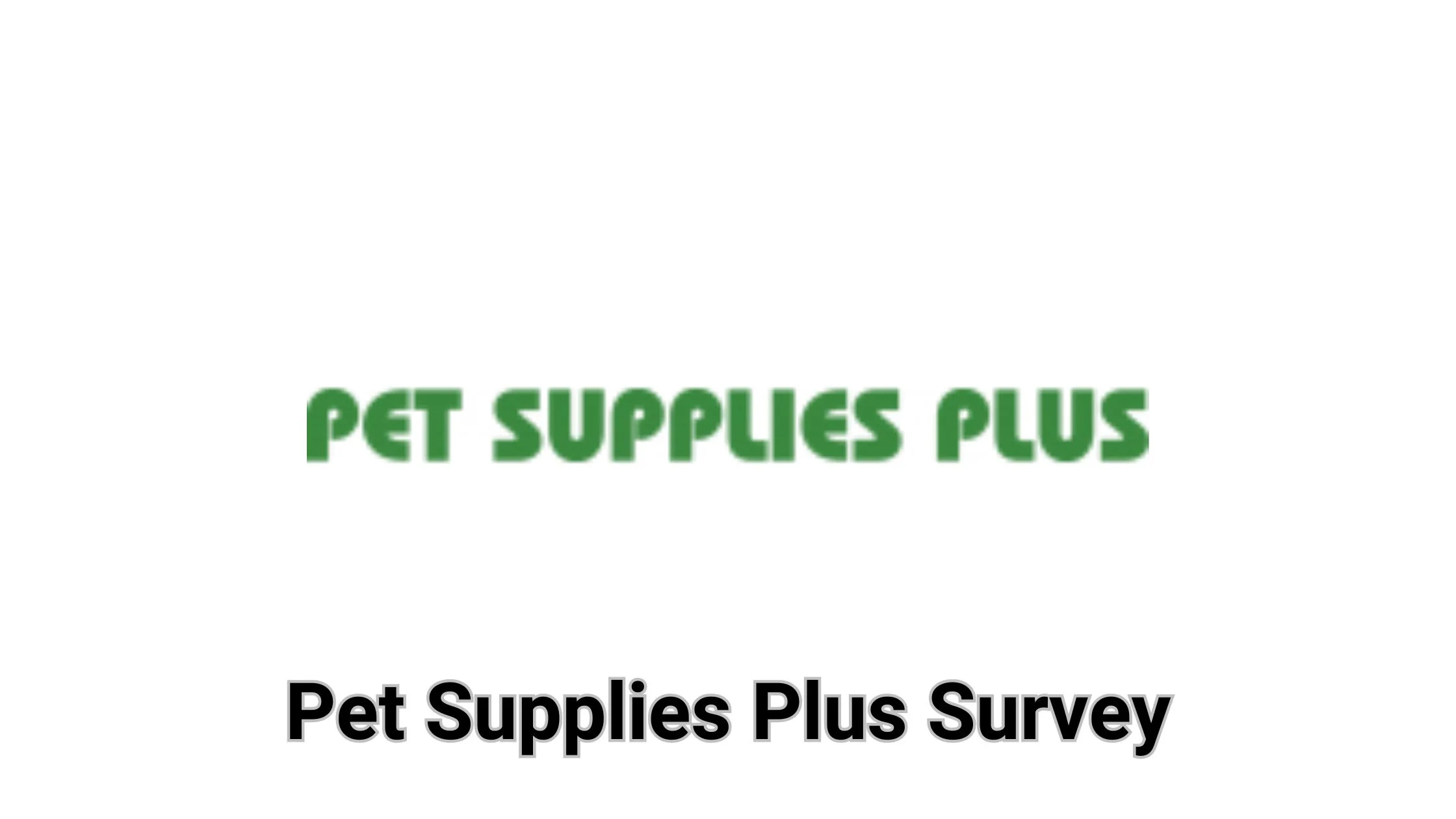 Tellpetsupplies Pet Supplies Plus Survey Win 100